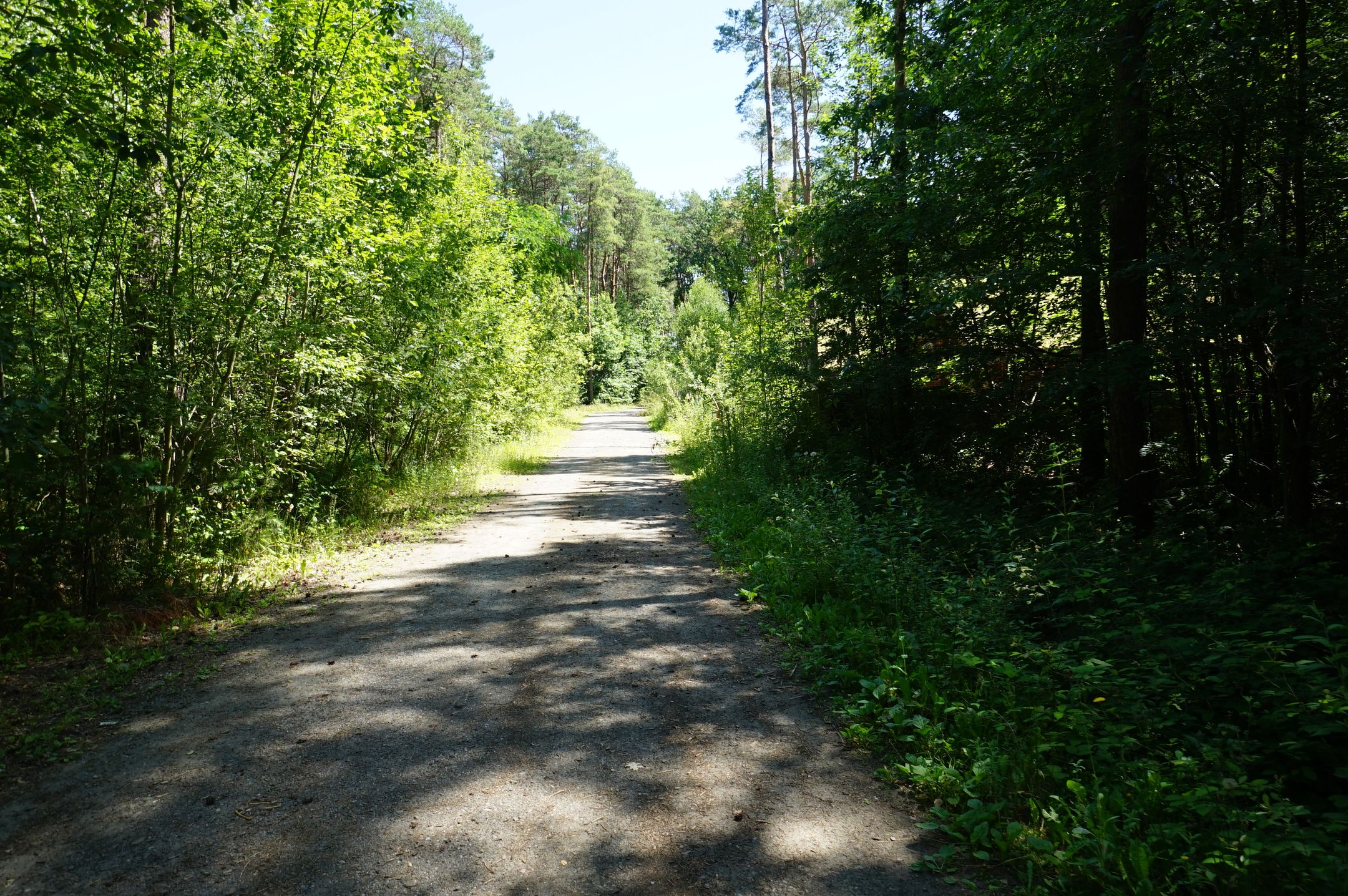 Photo 30 of Grote Hees, 7e kavel