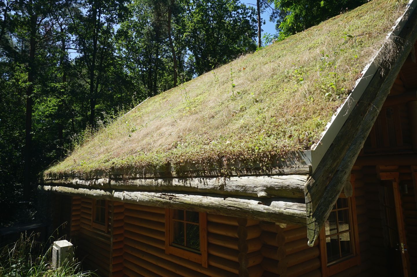 Photo 29 of Grote Hees, 7e kavel