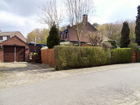 undefined main image