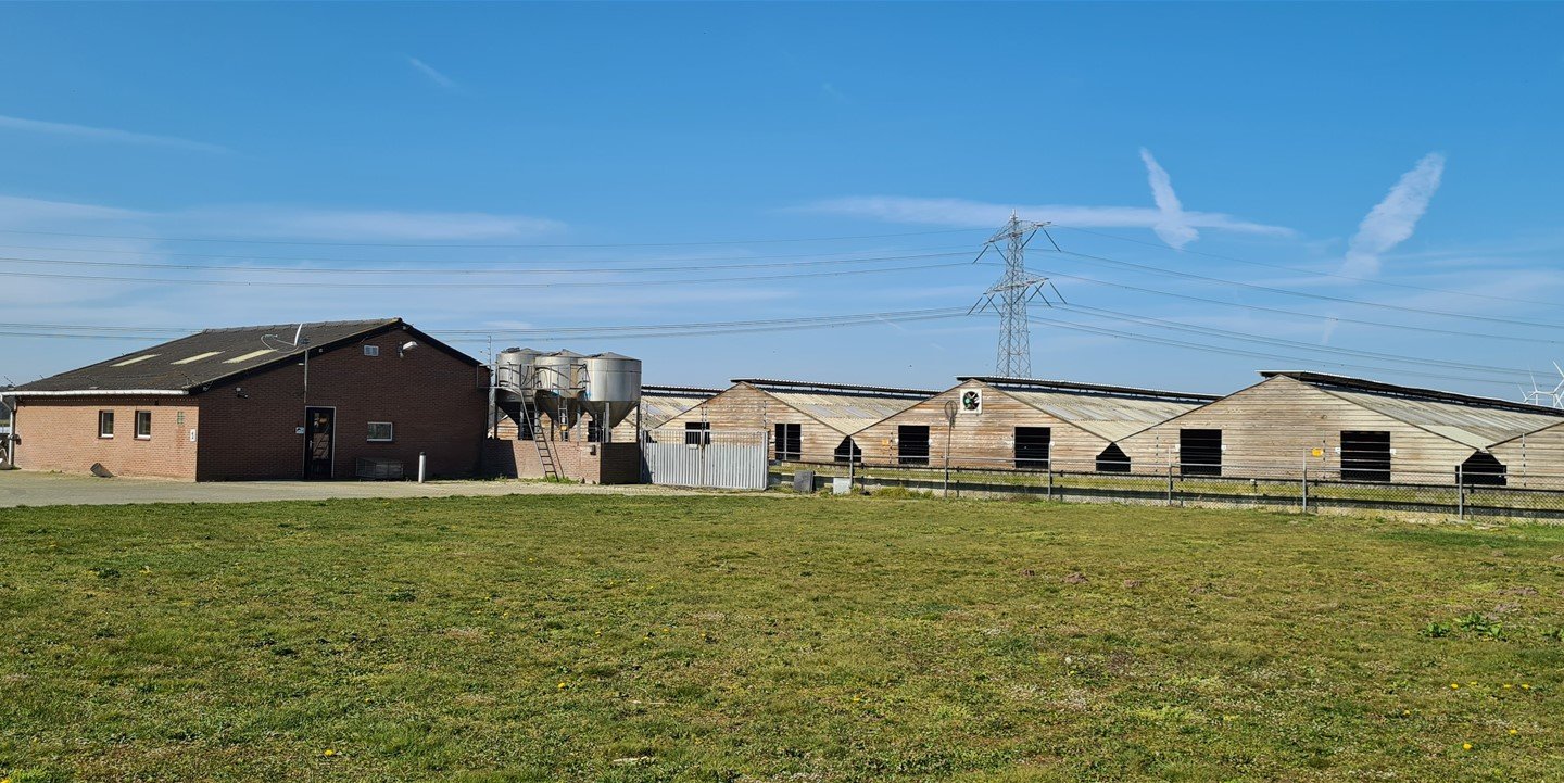 Bekijk foto 4 van Roggelsedijk 1