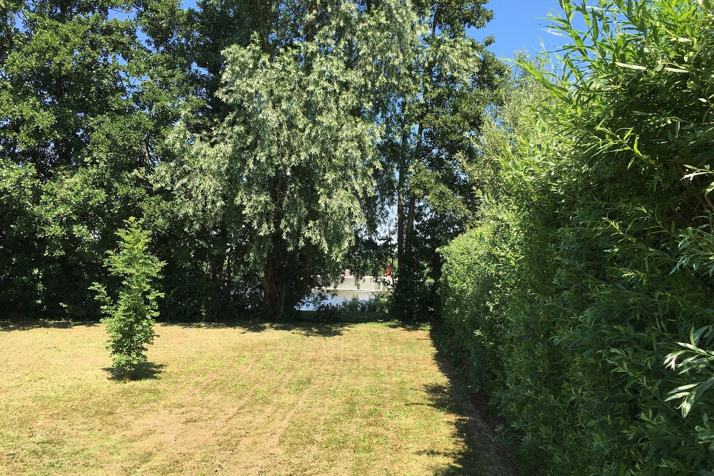 Bekijk foto 2 van Vriezekoop 9 A