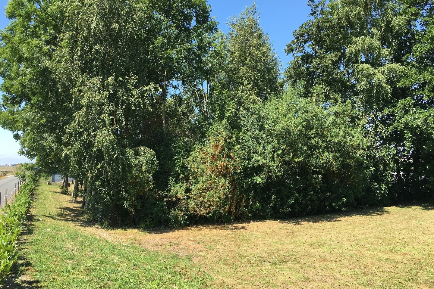 Bekijk foto 3 van Vriezekoop 9 A