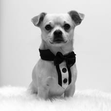 Diego Murgia - Afdeling Buitendienst