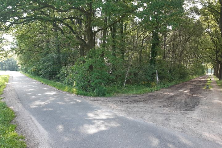 Bekijk foto 4 van Oude Postweg / Sniedersveldweg