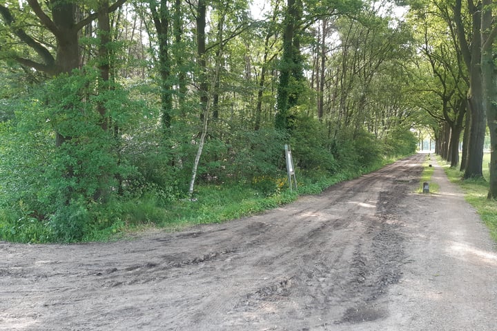 Bekijk foto 5 van Oude Postweg / Sniedersveldweg