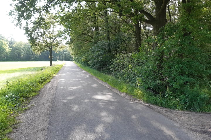 View photo 6 of Oude Postweg / Sniedersveldweg