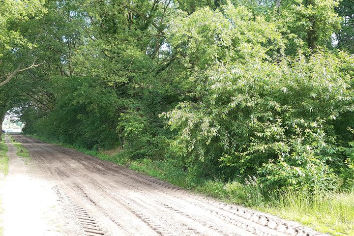 View photo 8 of Oude Postweg / Sniedersveldweg