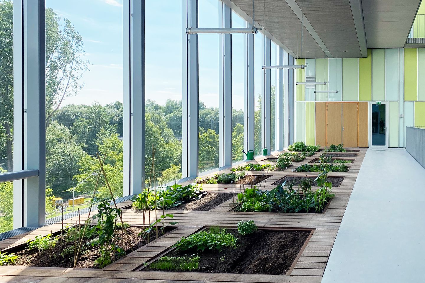 Photo 17 of New West 