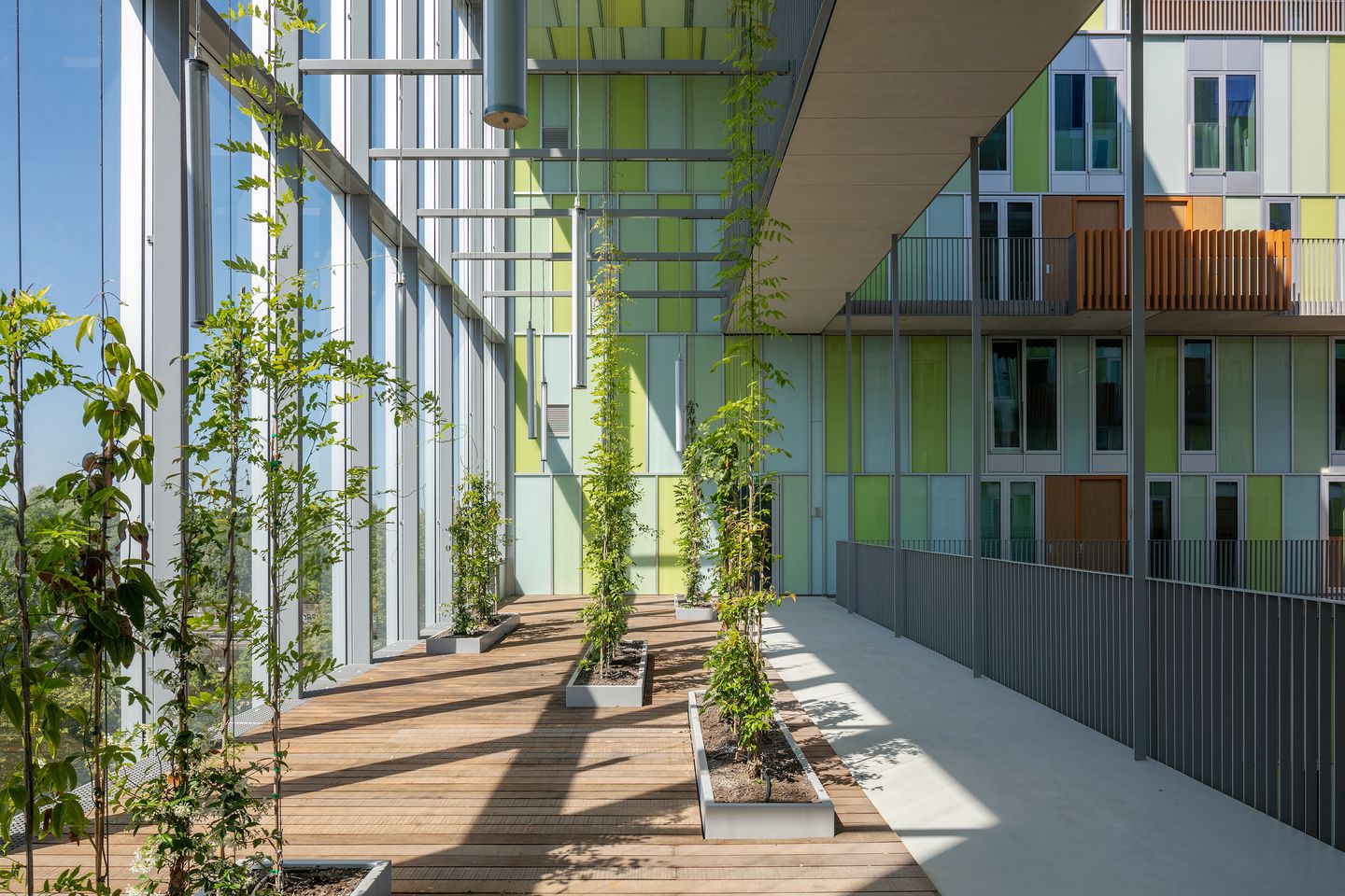 Photo 19 of New West 