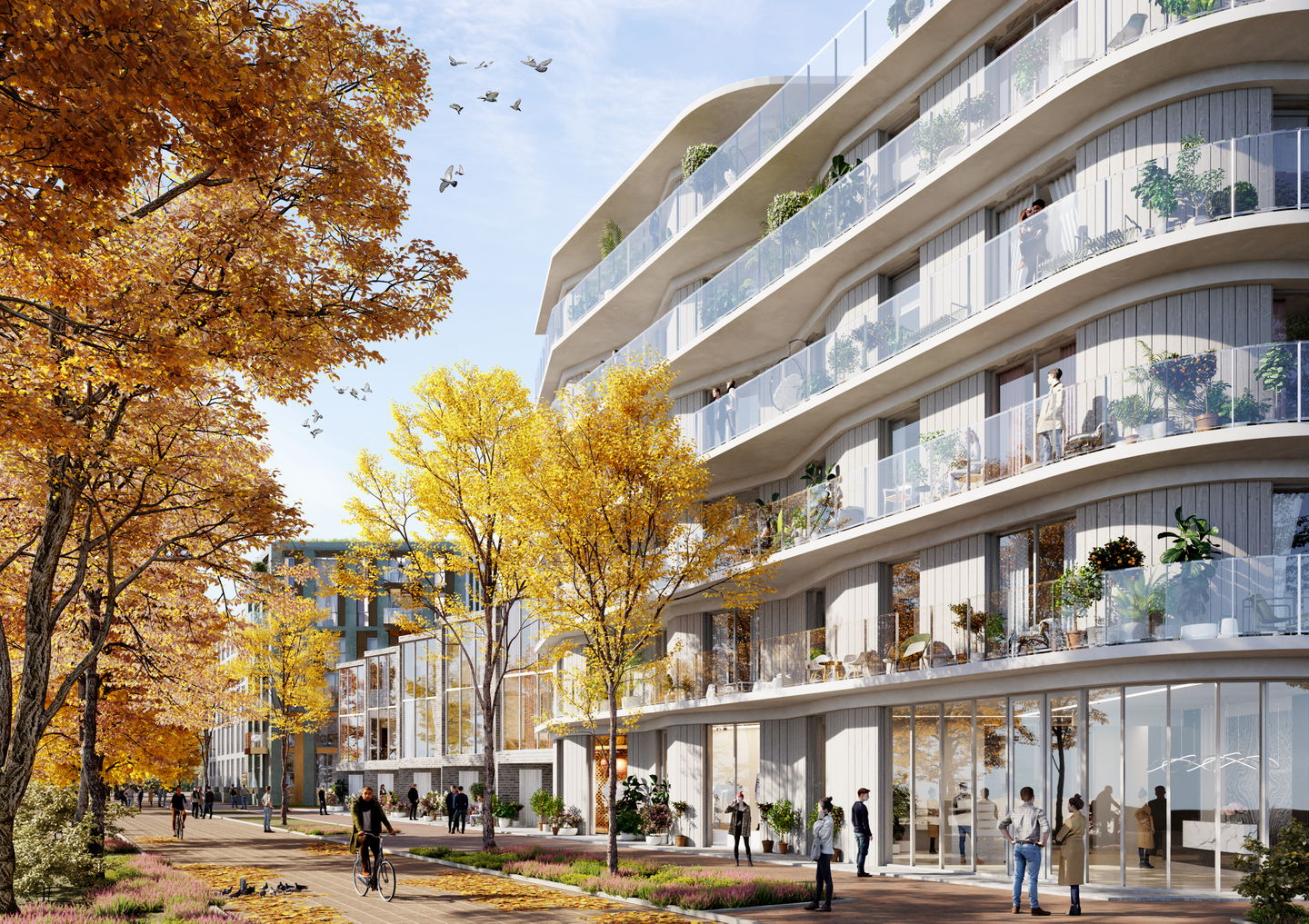 Photo 2 of Hoefse Hout