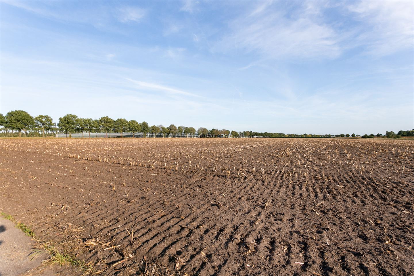 Bekijk foto 3 van Venweg 6