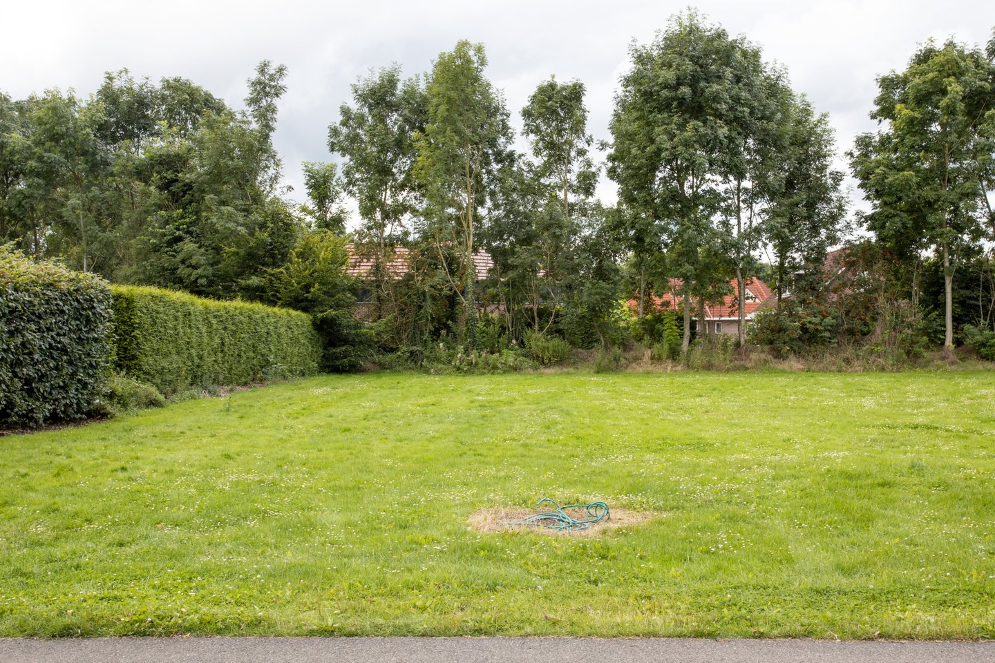 Bekijk foto 1 van Bosruiterweg 25 110