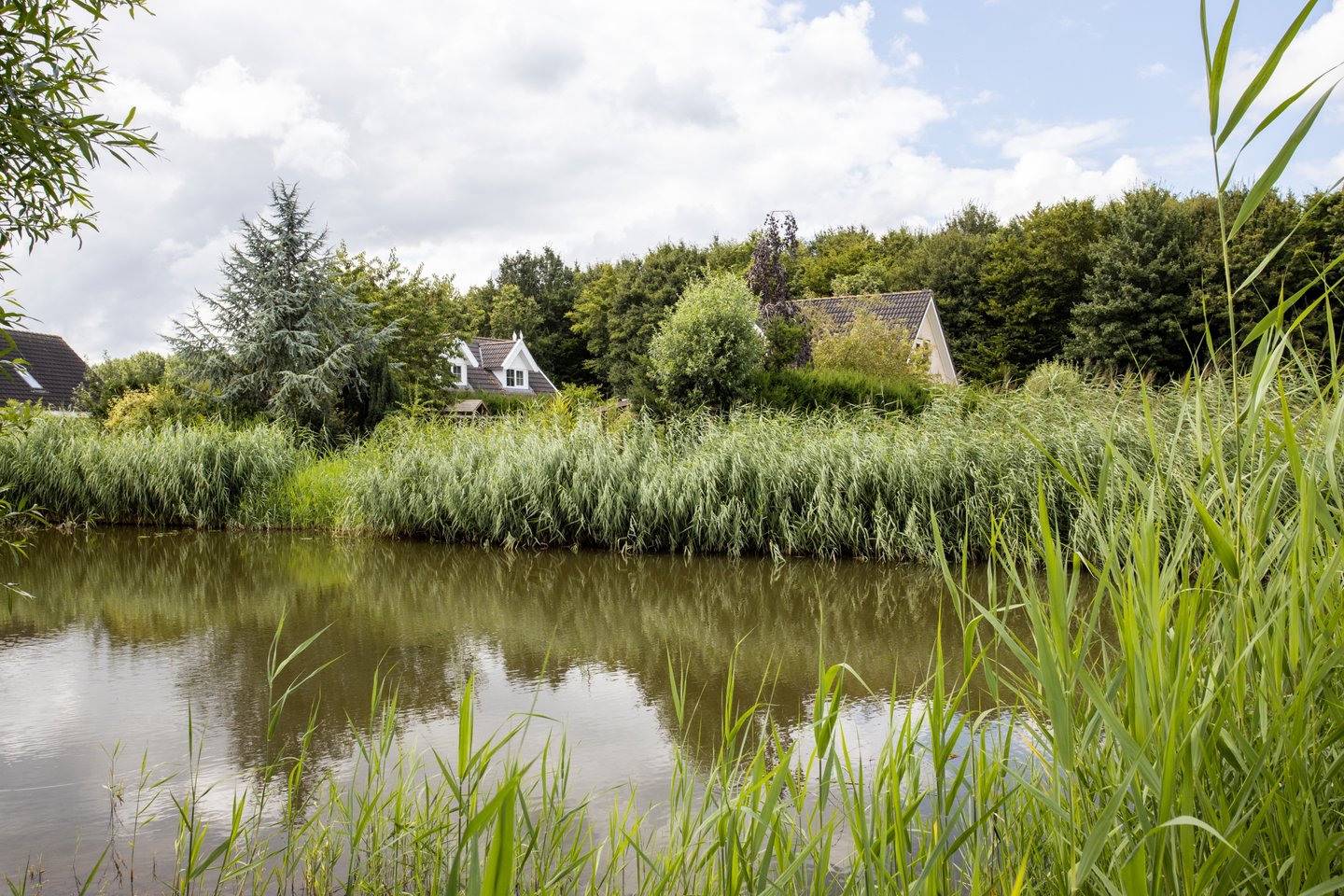 Bekijk foto 3 van Bosruiterweg 25 110