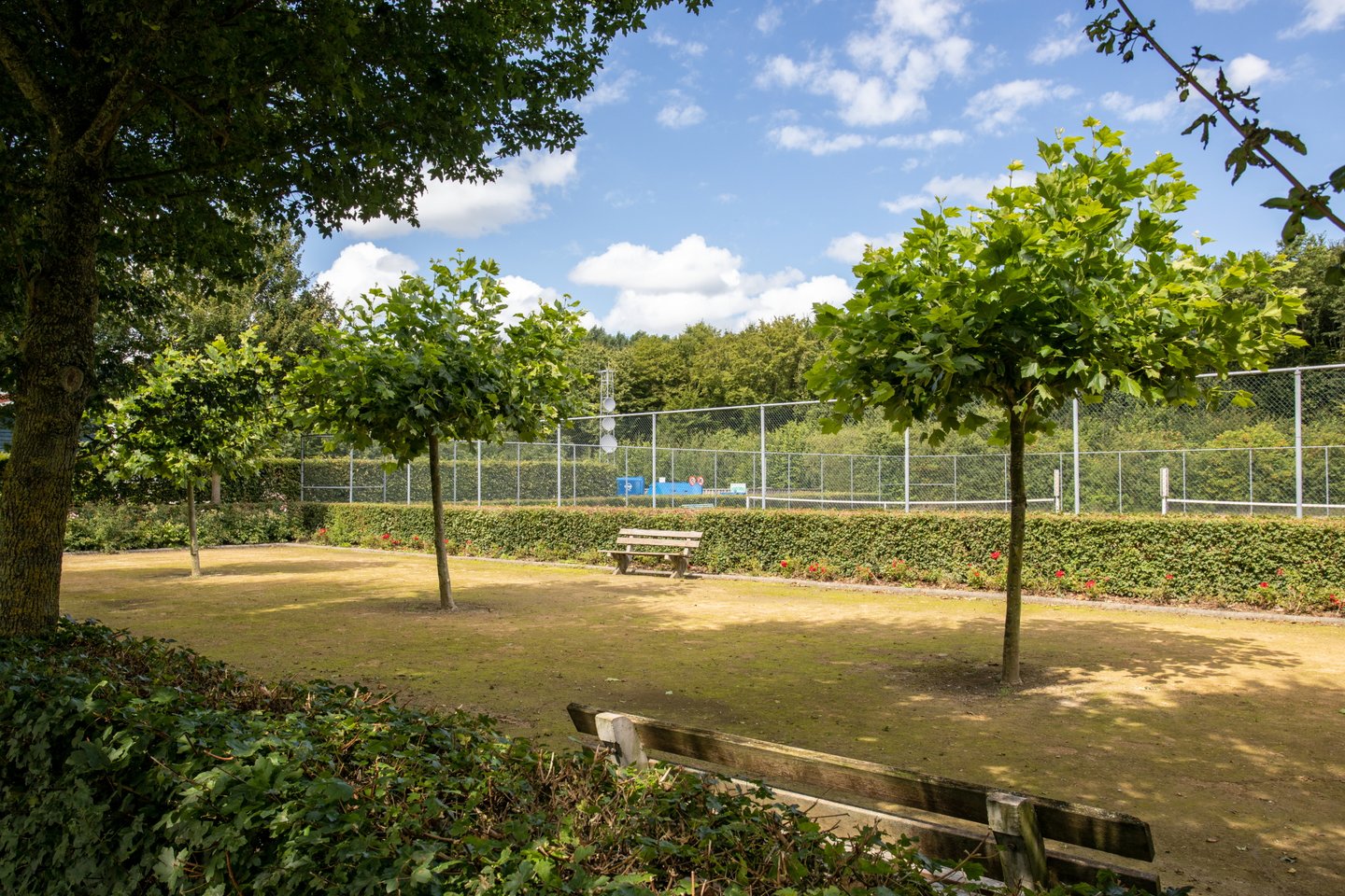 Bekijk foto 4 van Bosruiterweg 25 110