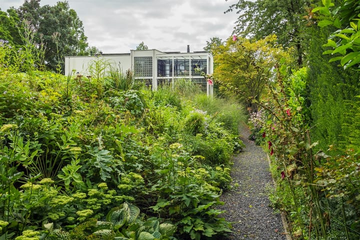 Foto 8 van Burgemeester Meslaan 14