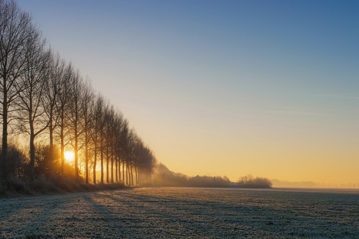 Photo 1 of Bocage H-kavels Steenhouwerstraat (Bouwnr. 9)