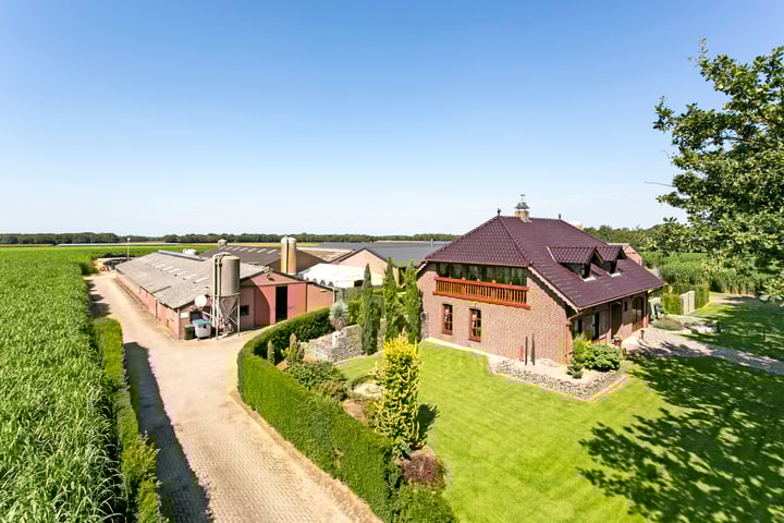 Molenweg 80, Koningsbosch