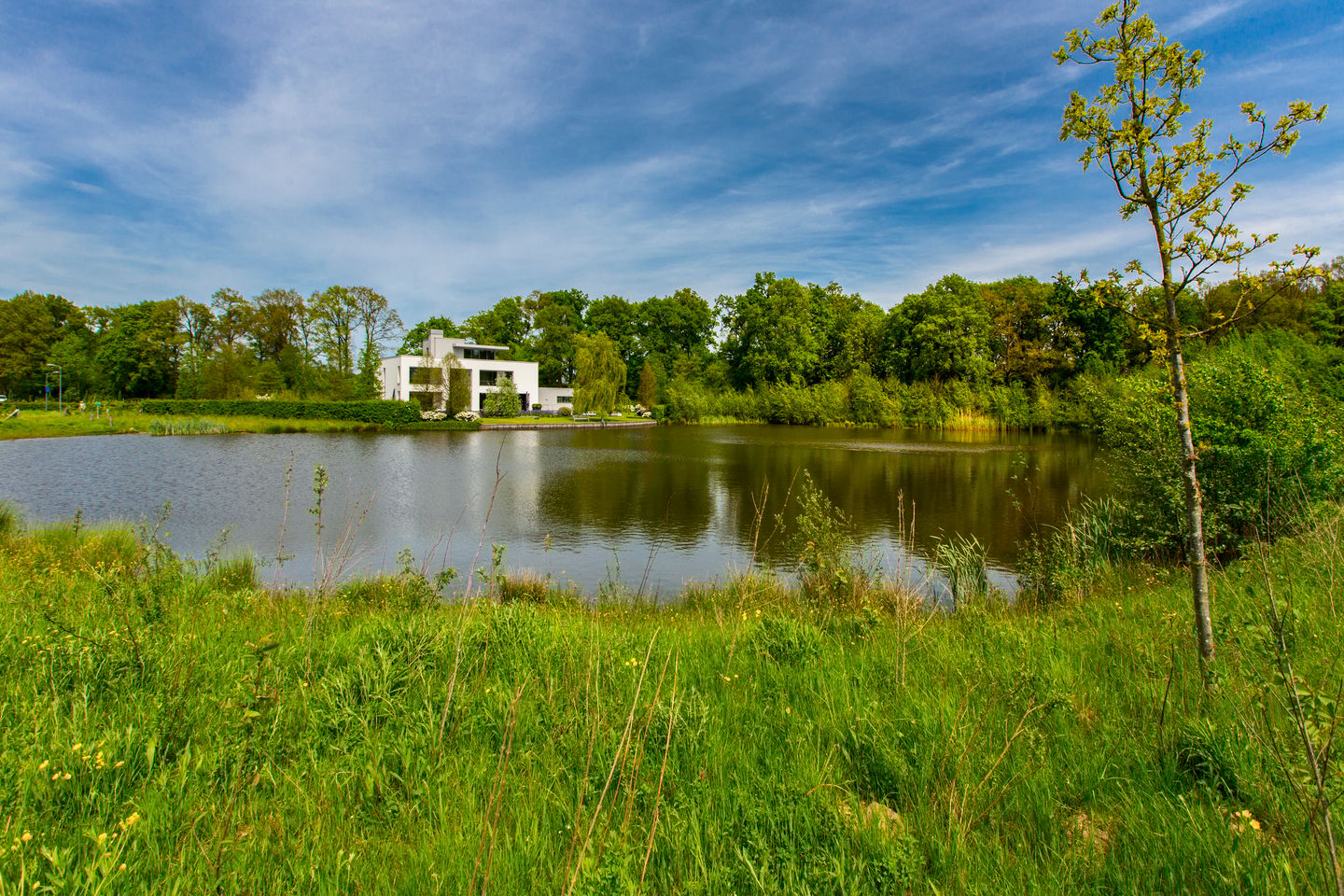 Photo 49 of Laan van Napoleon 15