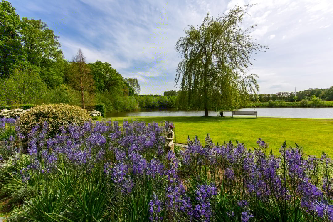 Photo 38 of Laan van Napoleon 15