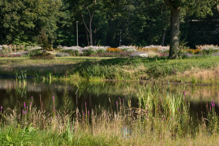 Bekijk foto 12 van Kavels in Nooitgedacht