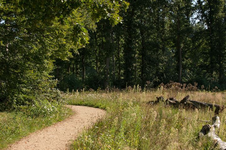 Bekijk foto 10 van Kavels in Nooitgedacht