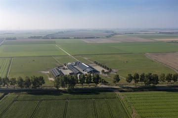 Bekijk foto's