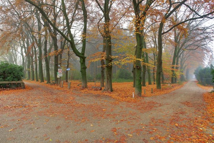 Bekijk foto 3 van Hessenweg 46