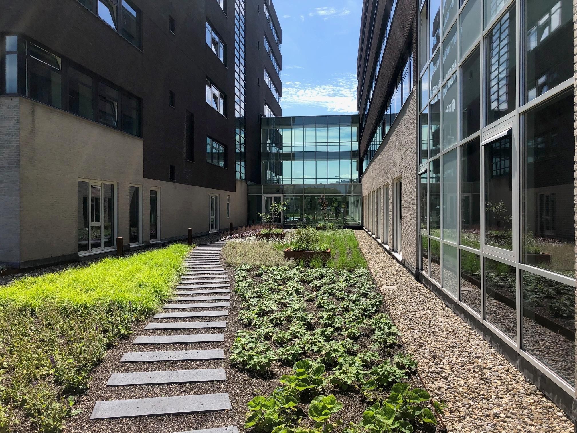 Foto 6 van Zuidpoolsingel