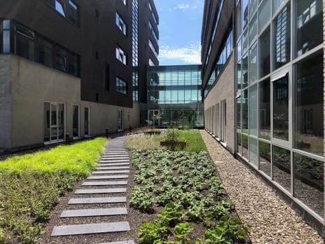 Foto 6 van Zuidpoolsingel