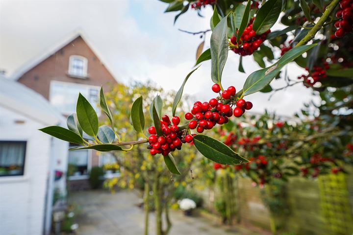 Bekijk foto 33 van Peperstraat 28