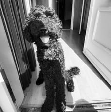 Charlie - Officemanager