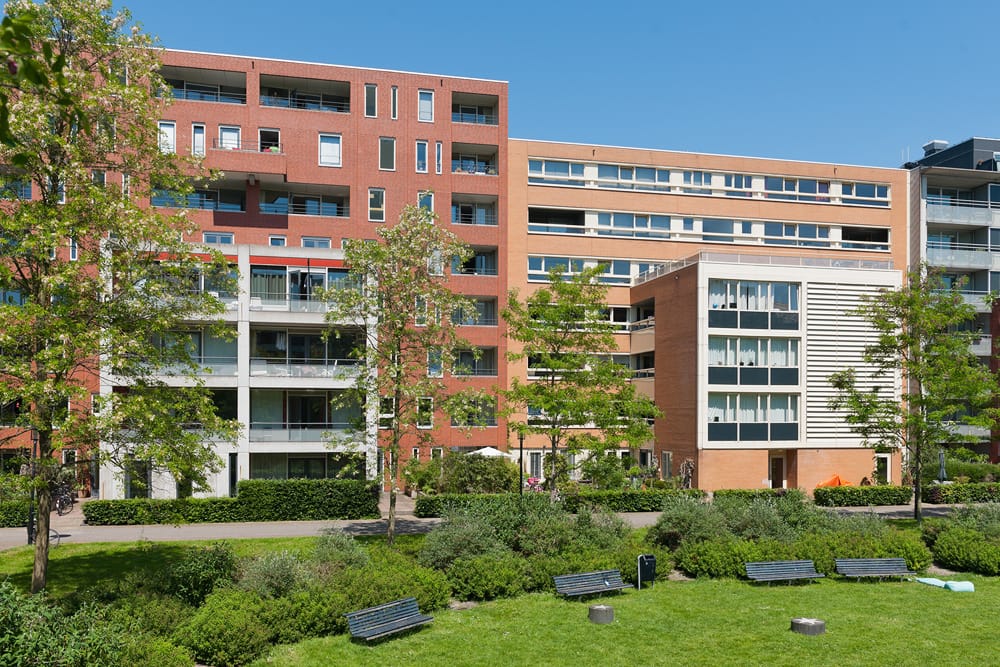 Photo 2 of Java Eiland II