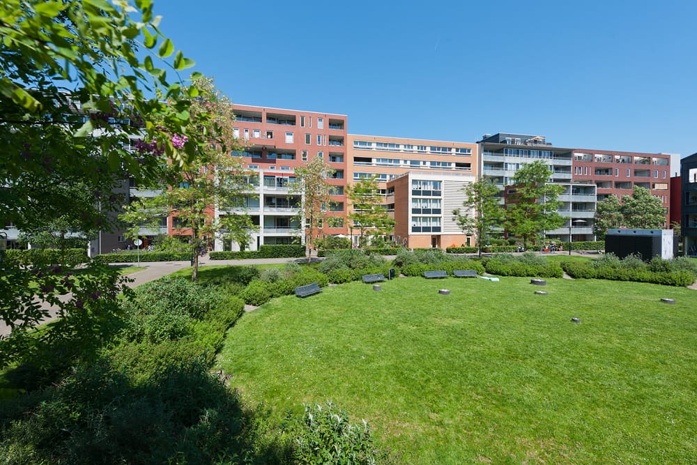 Photo 5 of Java Eiland II