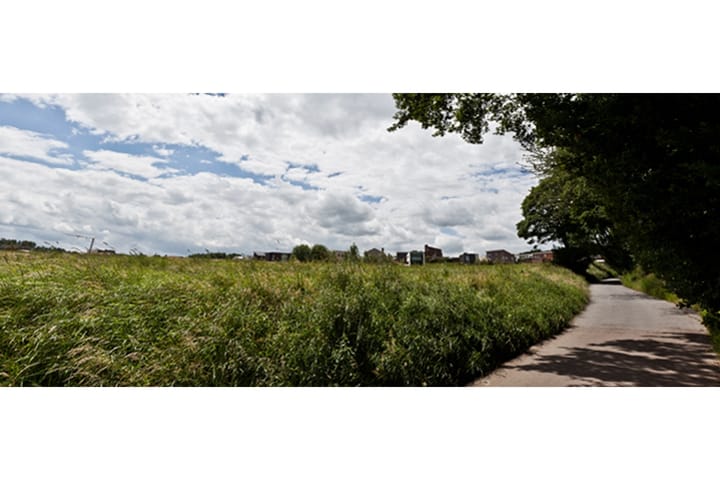 Foto 3 van Korenbloem (Bouwnr. 157)