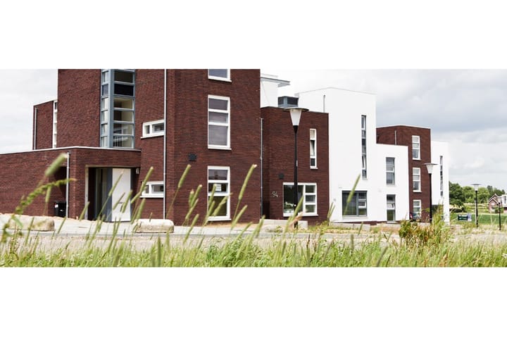 Foto 4 van Korenbloem (Bouwnr. 157)