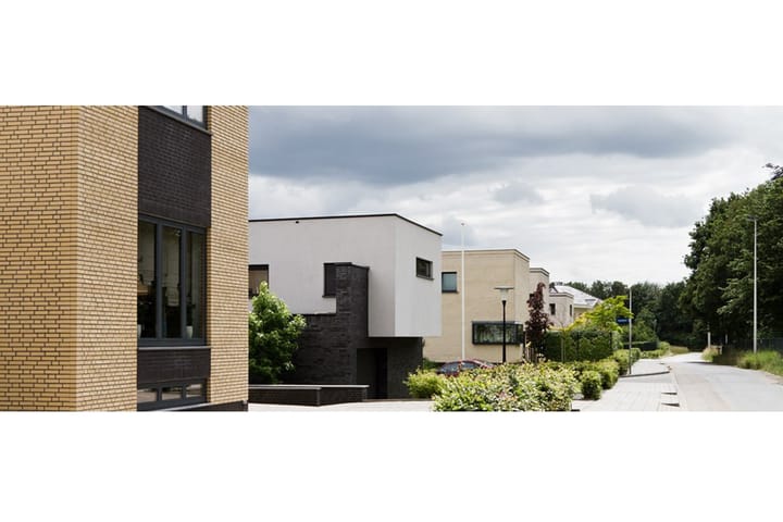 Foto 5 van Korenbloem (Bouwnr. 157)