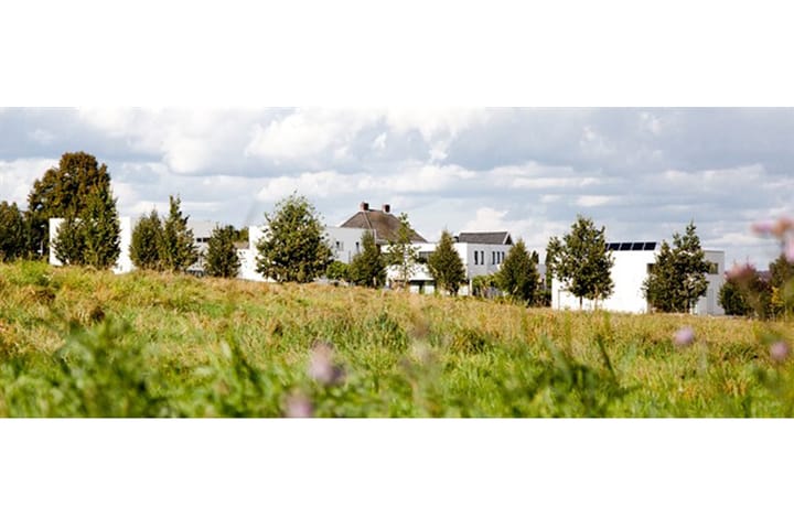 Foto 6 van Korenbloem (Bouwnr. 157)