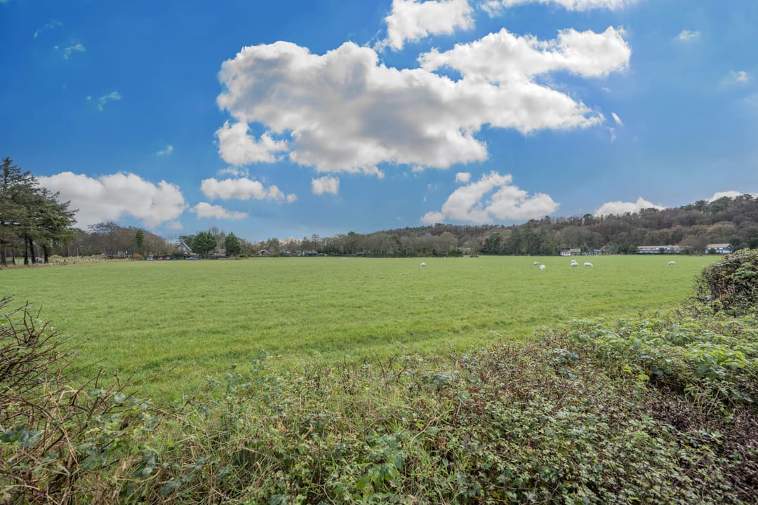 Photo 23 of Burgemeester Peecklaan 8-HUIS 4