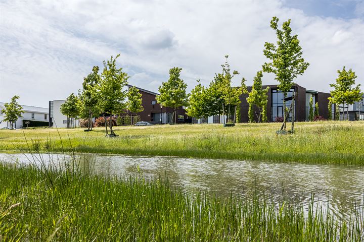 Bekijk foto 20 van Park Hoogveld (woningen-appartementen-bouwkavels)