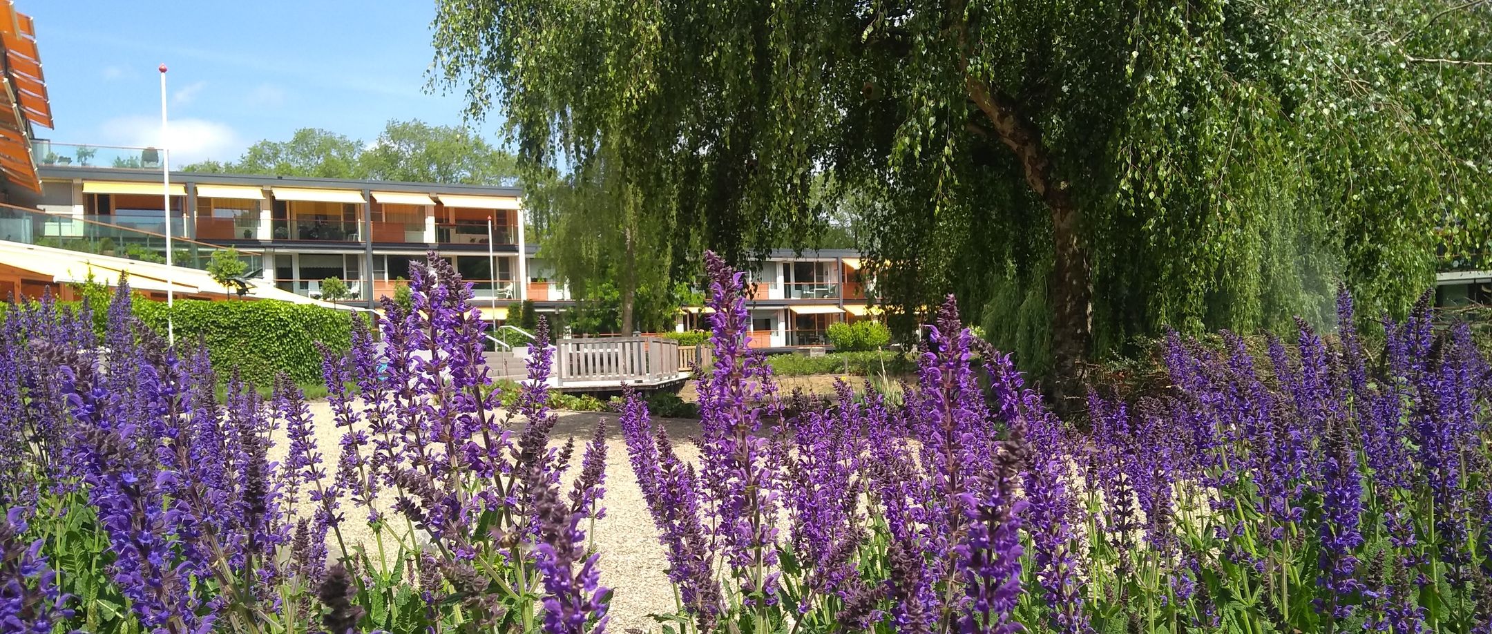 Foto 12 van Molenwijck 1