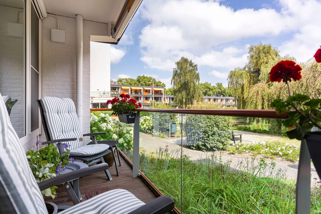 Foto 11 van Molenwijck 1