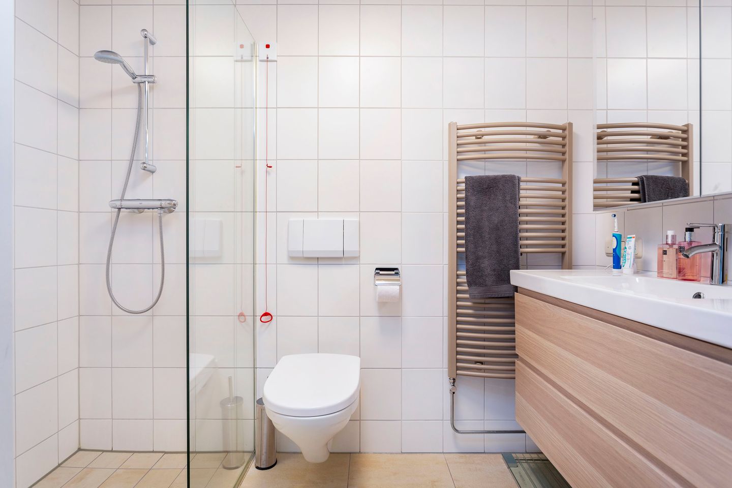 Foto 10 van Molenwijck 1