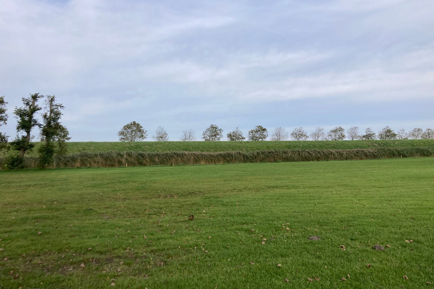 Bekijk foto 4 van Balgweg