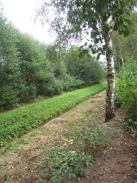 Foto 6 van Jonkersweg 31