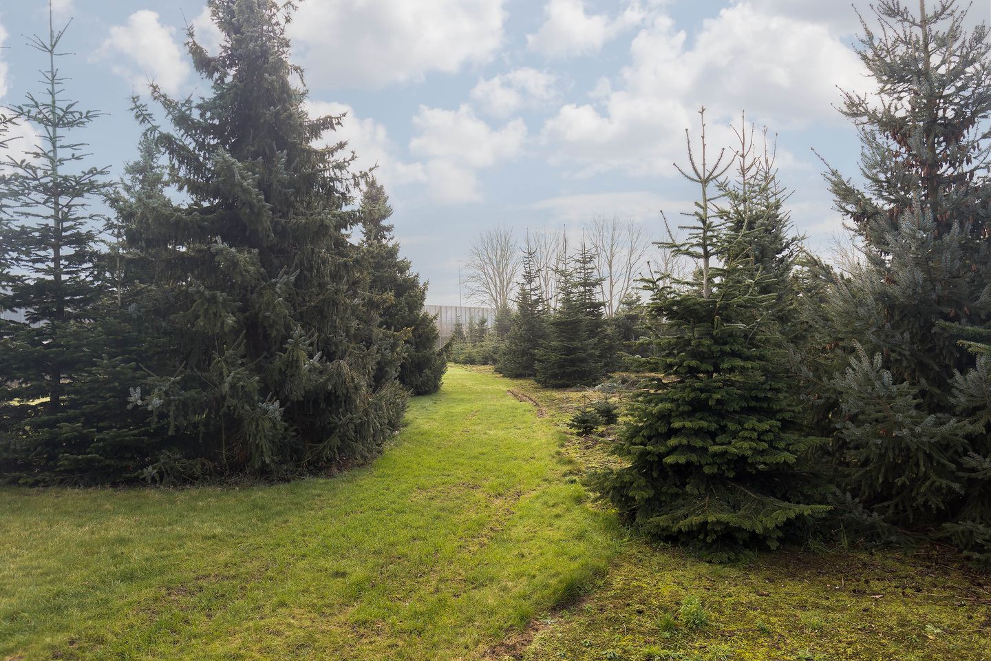 Foto 19 van Gouverneur Ruijs de Beerenbroucklaan 11