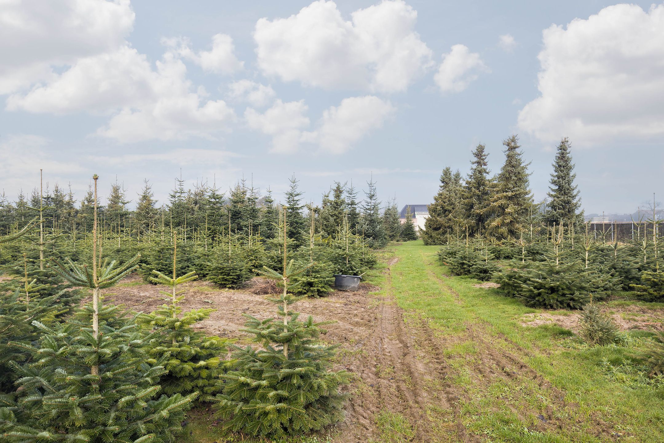 Foto 21 van Gouverneur Ruijs de Beerenbroucklaan 11