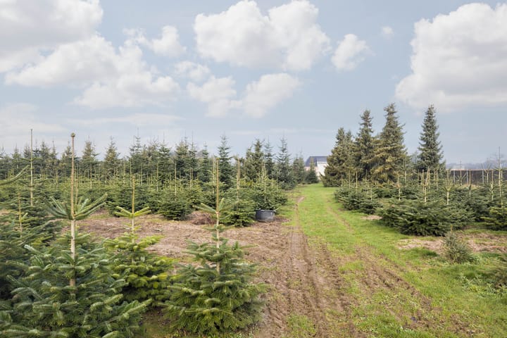 Foto 21 van Gouverneur Ruijs de Beerenbroucklaan 11