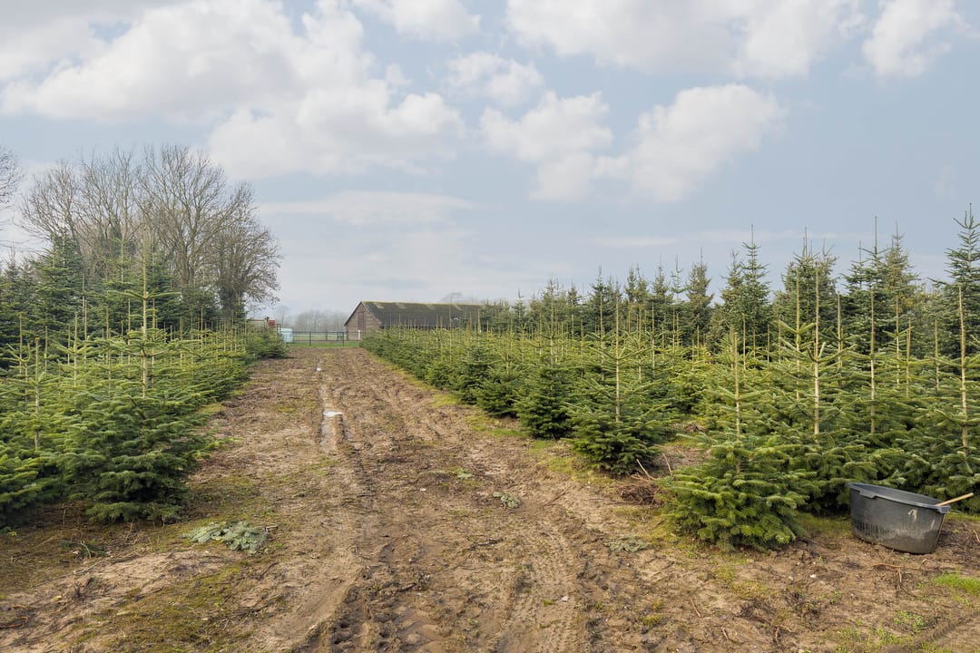 Foto 22 van Gouverneur Ruijs de Beerenbroucklaan 11