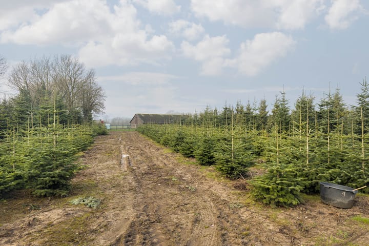 Foto 22 van Gouverneur Ruijs de Beerenbroucklaan 11