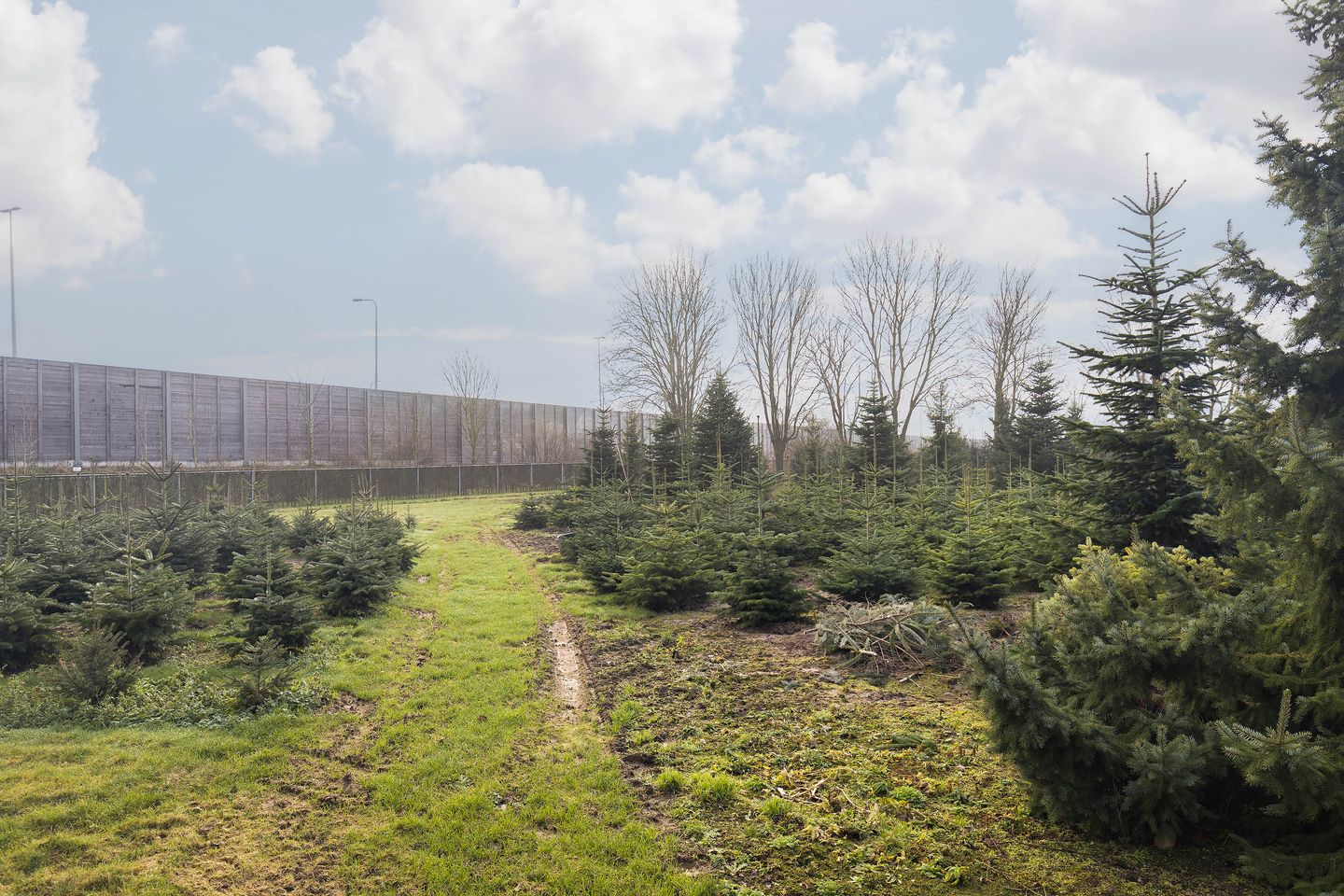 Foto 20 van Gouverneur Ruijs de Beerenbroucklaan 11